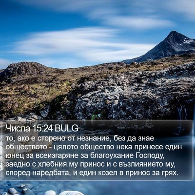 Числа 15:24 BULG Bible Verse Image