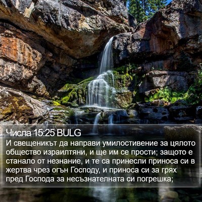 Числа 15:25 BULG Bible Verse Image