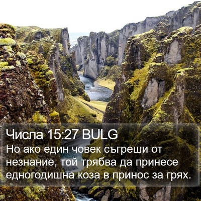 Числа 15:27 BULG Bible Verse Image