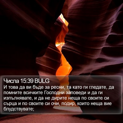 Числа 15:39 BULG Bible Verse Image