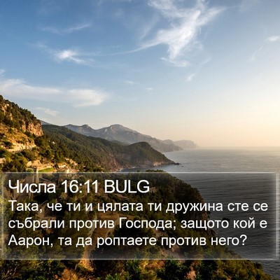 Числа 16:11 BULG Bible Verse Image