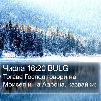 Числа 16:20 BULG Bible Verse Image