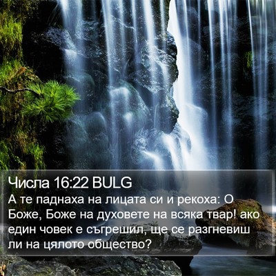 Числа 16:22 BULG Bible Verse Image