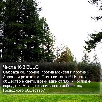 Числа 16:3 BULG Bible Verse Image