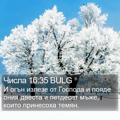 Числа 16:35 BULG Bible Verse Image