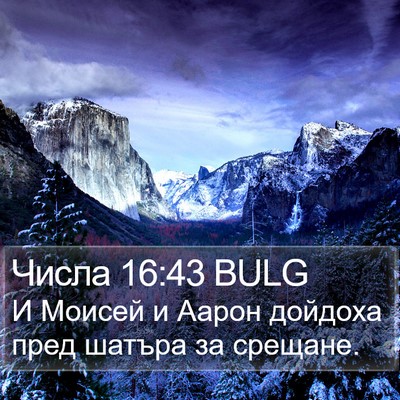 Числа 16:43 BULG Bible Verse Image