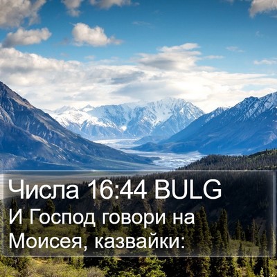 Числа 16:44 BULG Bible Verse Image