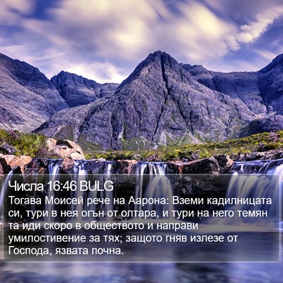 Числа 16:46 BULG Bible Verse Image