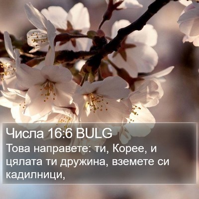 Числа 16:6 BULG Bible Verse Image