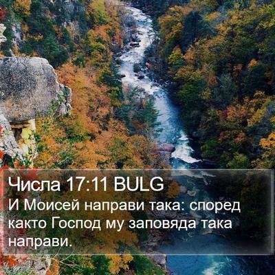 Числа 17:11 BULG Bible Verse Image