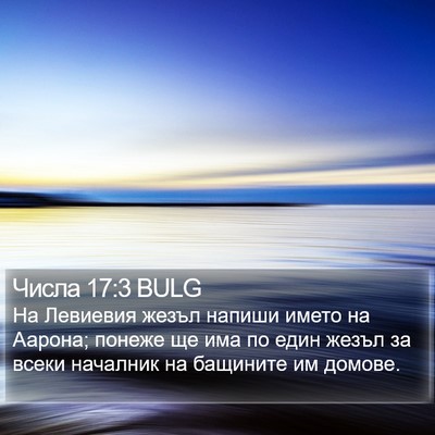 Числа 17:3 BULG Bible Verse Image