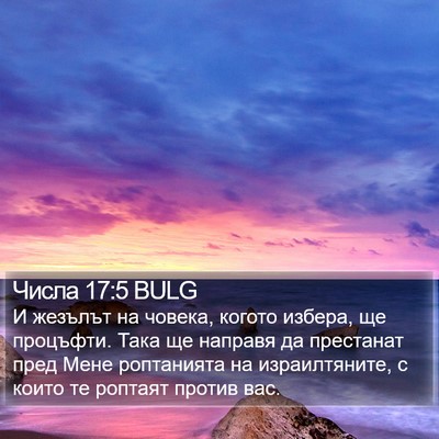 Числа 17:5 BULG Bible Verse Image