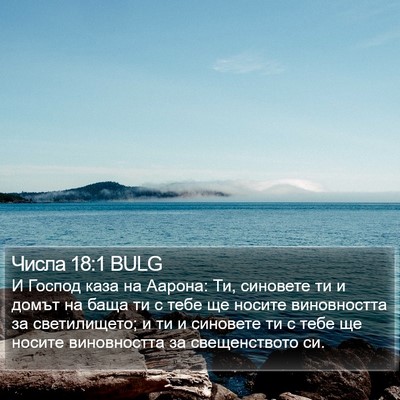 Числа 18:1 BULG Bible Verse Image