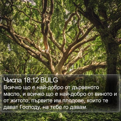 Числа 18:12 BULG Bible Verse Image