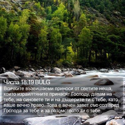 Числа 18:19 BULG Bible Verse Image