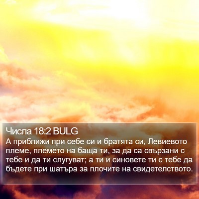 Числа 18:2 BULG Bible Verse Image