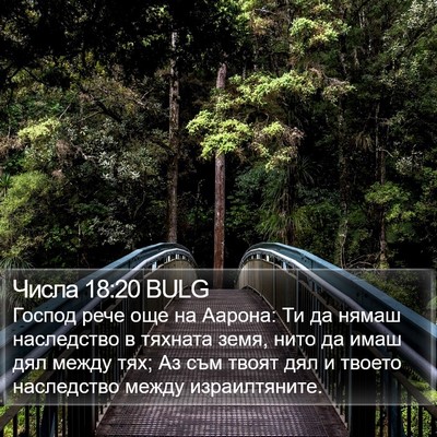 Числа 18:20 BULG Bible Verse Image