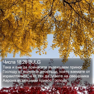 Числа 18:28 BULG Bible Verse Image