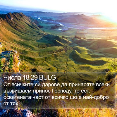 Числа 18:29 BULG Bible Verse Image