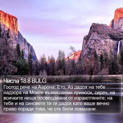 Числа 18:8 BULG Bible Verse Image