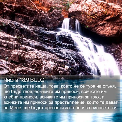 Числа 18:9 BULG Bible Verse Image