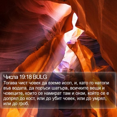 Числа 19:18 BULG Bible Verse Image