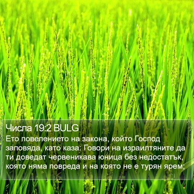 Числа 19:2 BULG Bible Verse Image