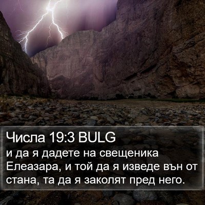 Числа 19:3 BULG Bible Verse Image