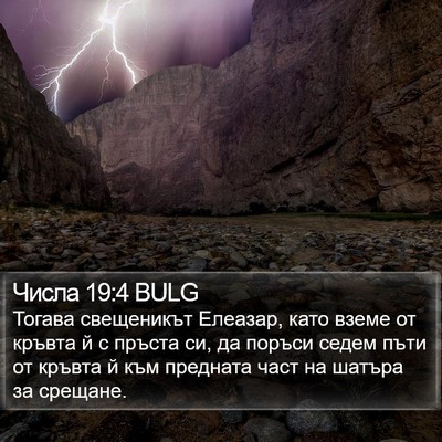 Числа 19:4 BULG Bible Verse Image
