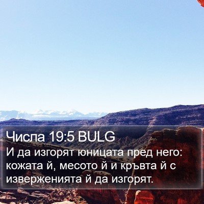 Числа 19:5 BULG Bible Verse Image