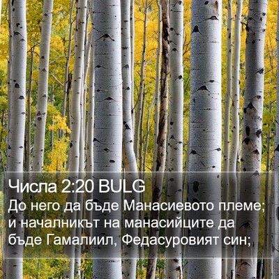 Числа 2:20 BULG Bible Verse Image