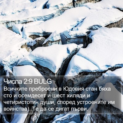 Числа 2:9 BULG Bible Verse Image