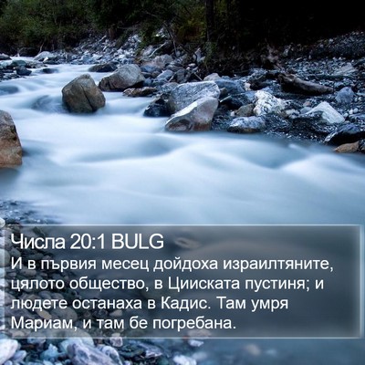 Числа 20:1 BULG Bible Verse Image