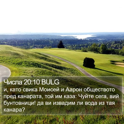 Числа 20:10 BULG Bible Verse Image