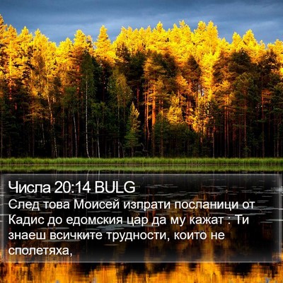 Числа 20:14 BULG Bible Verse Image
