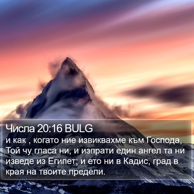 Числа 20:16 BULG Bible Verse Image