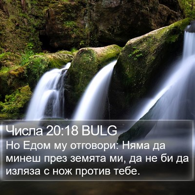Числа 20:18 BULG Bible Verse Image