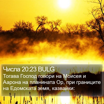 Числа 20:23 BULG Bible Verse Image