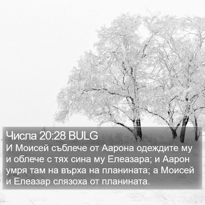 Числа 20:28 BULG Bible Verse Image