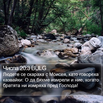 Числа 20:3 BULG Bible Verse Image