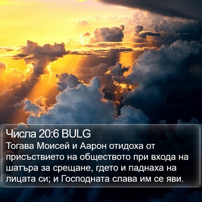 Числа 20:6 BULG Bible Verse Image