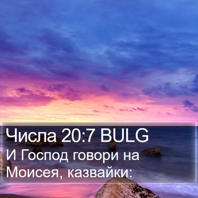 Числа 20:7 BULG Bible Verse Image