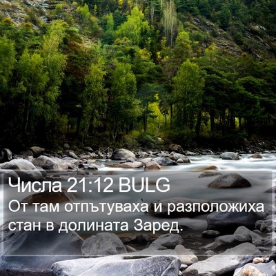 Числа 21:12 BULG Bible Verse Image