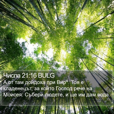 Числа 21:16 BULG Bible Verse Image