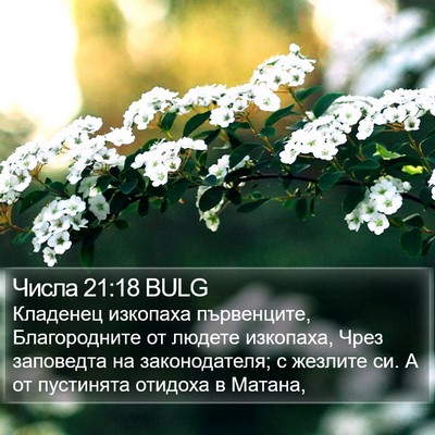 Числа 21:18 BULG Bible Verse Image