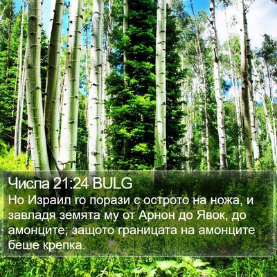 Числа 21:24 BULG Bible Verse Image
