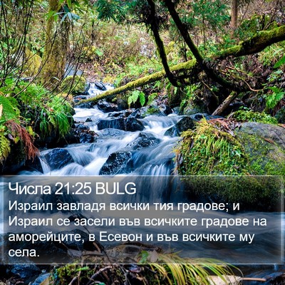Числа 21:25 BULG Bible Verse Image