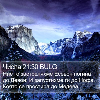 Числа 21:30 BULG Bible Verse Image
