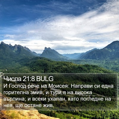 Числа 21:8 BULG Bible Verse Image