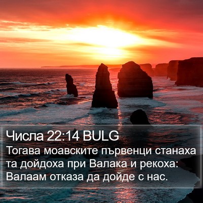 Числа 22:14 BULG Bible Verse Image